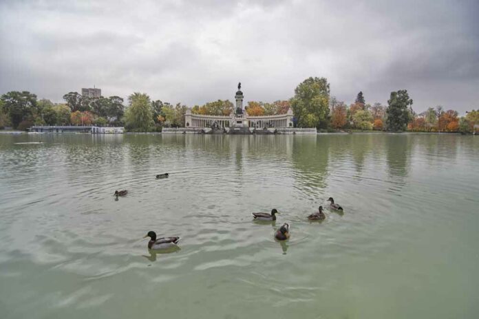 DMadridNoticias-2023-Antonello-Dellanotte