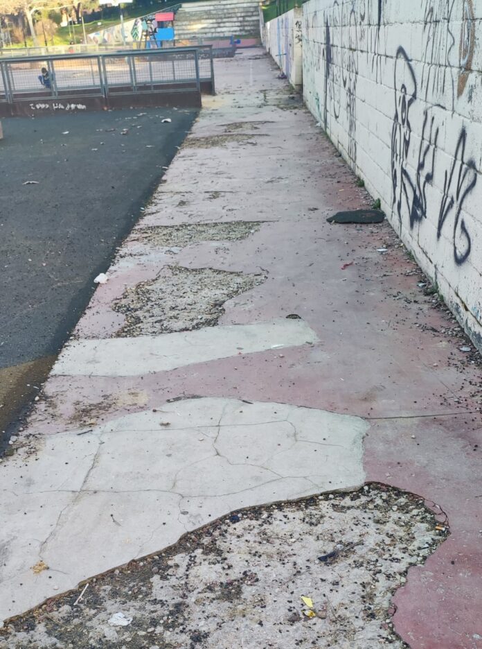 WhatsApp Image 2025-02-03 at 21.54.33 (3)