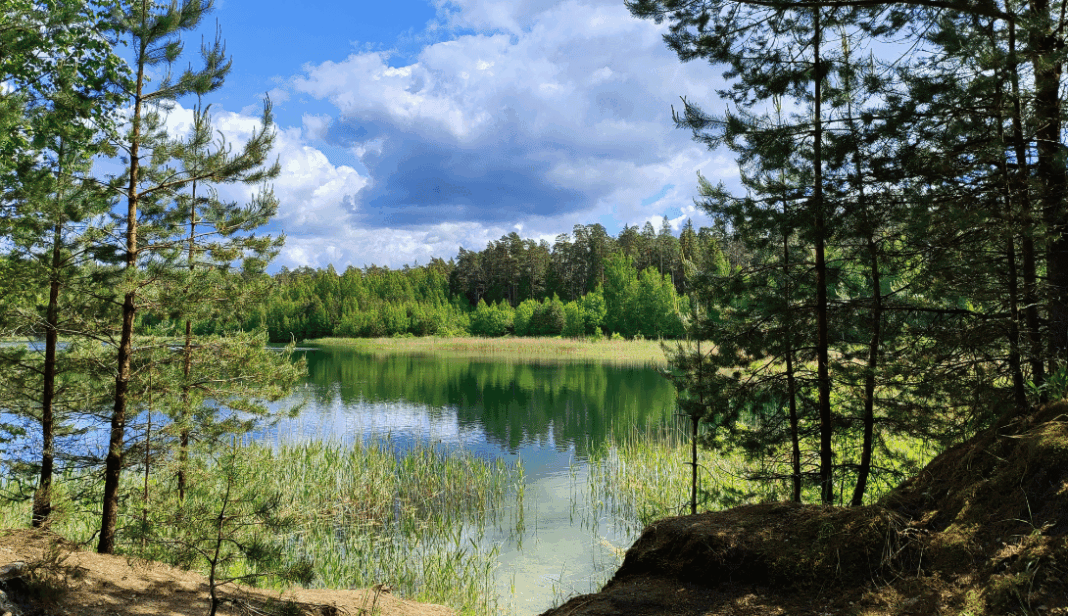 Treinta organizaciones crean la Alianza por la Restauración de la Naturaleza en España