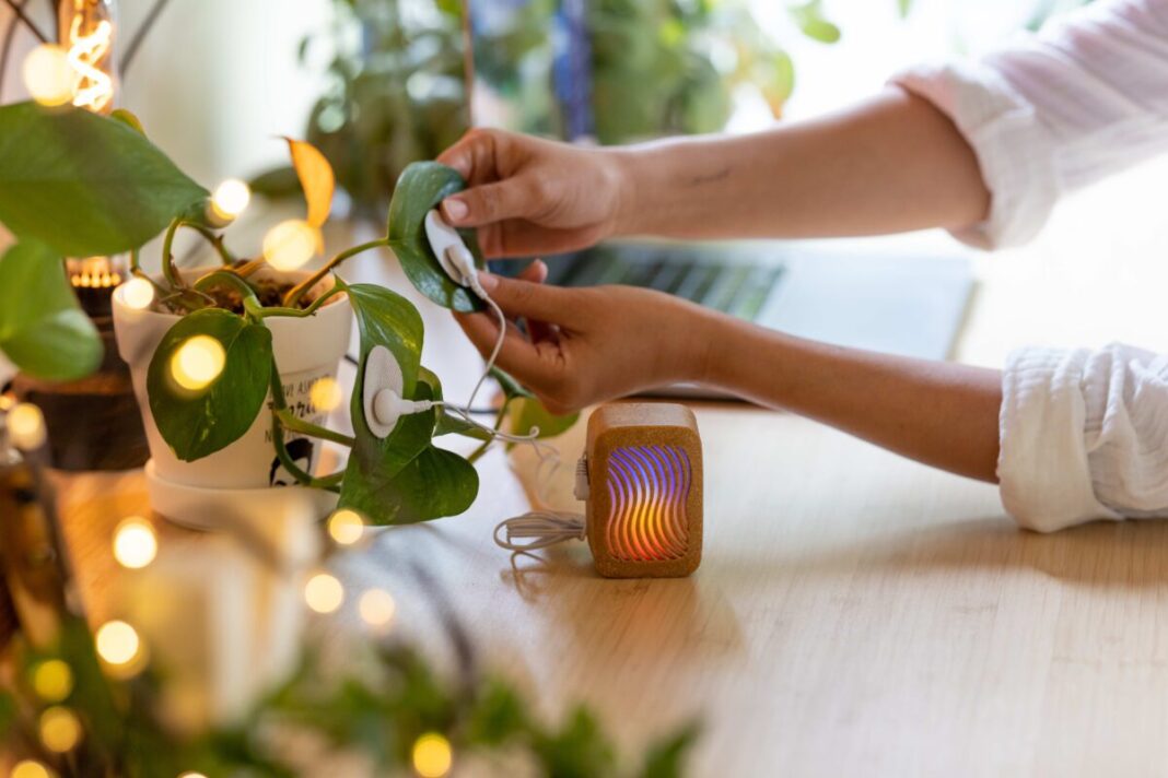 Matadero Madrid acoge del 14 al 19 de abril la segunda edición del festival Biophest