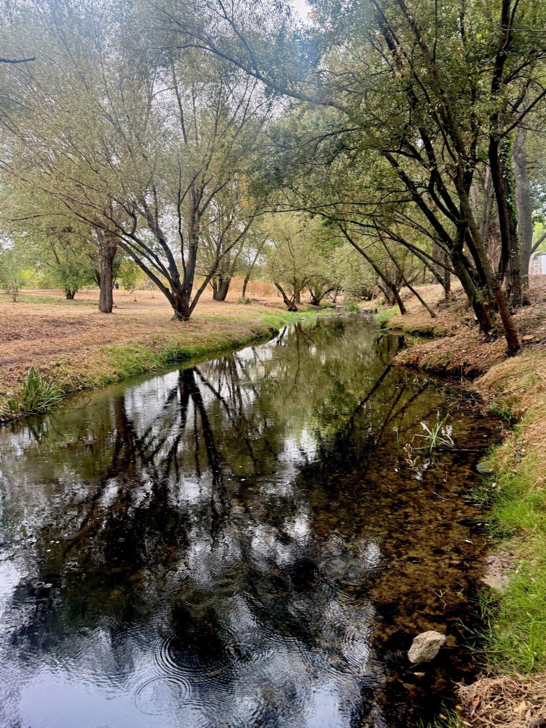 Galapagar limpia cerca de un kilómetro del río Guadarrama antes de la temporada de lluvias