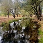 Galapagar limpia cerca de un kilómetro del río Guadarrama antes de la temporada de lluvias