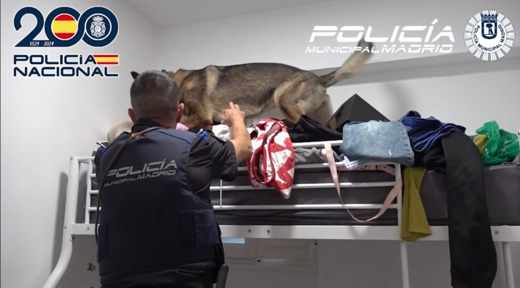 La Policía Nacional desarticula en Madrid una red de falsificación textil con un impacto de más de 6 millones de euros